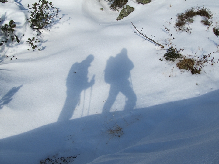 IMG_4364.JPG - ...ziehen zwei Schatten.
