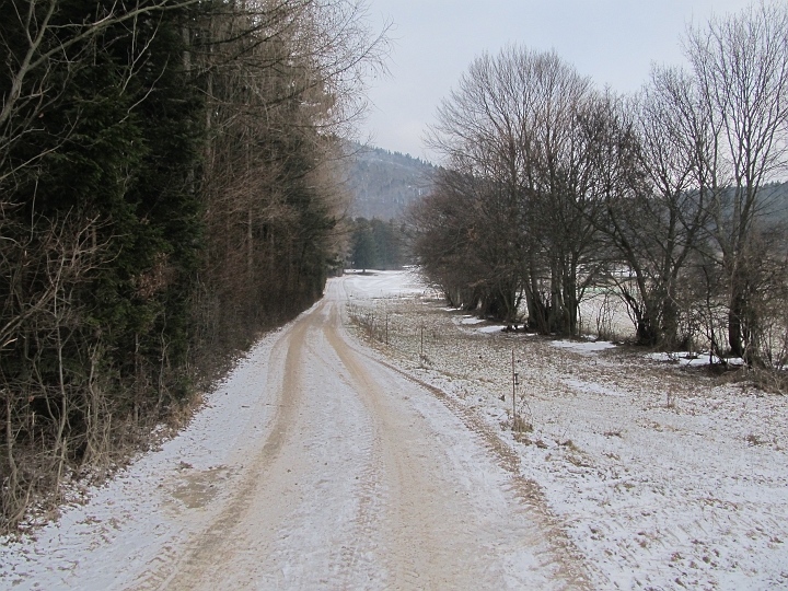 IMG_4523.JPG - Es wintert auch hier bei der Hohen Wand ein wenig.