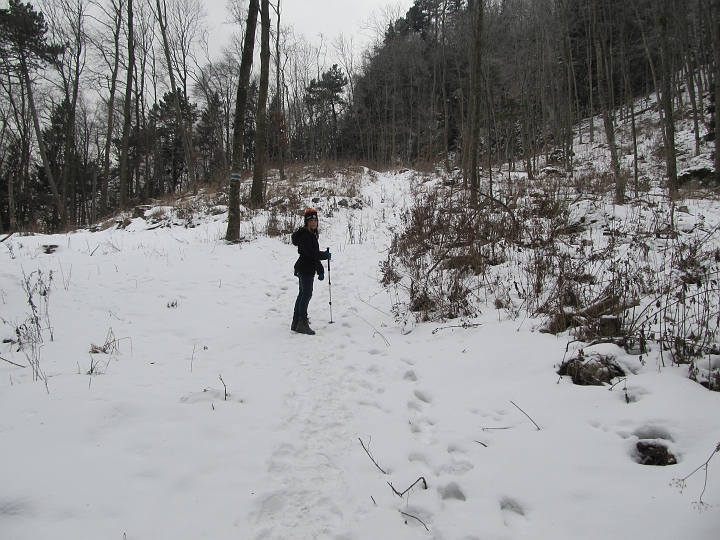 IMG_4528.JPG - Der Schnee ist gut zusammengepresst, Schneeschuhe braucht man nciht.