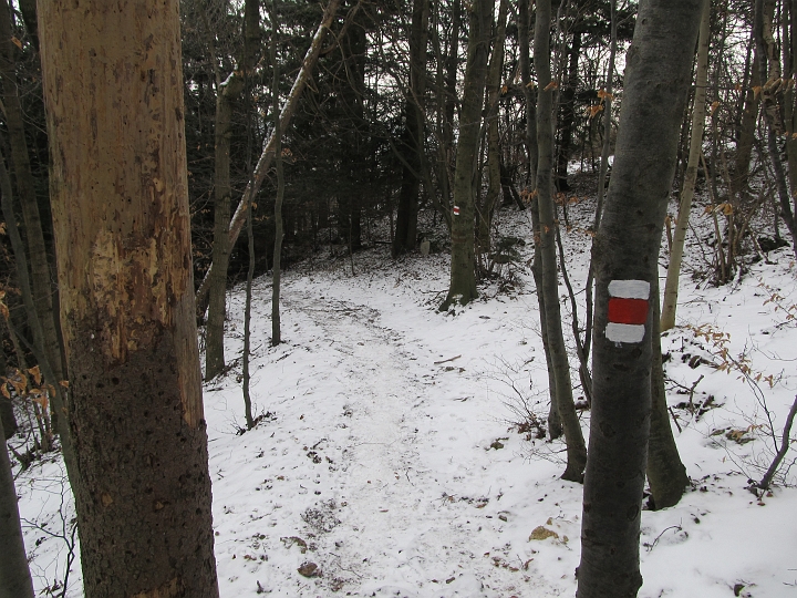IMG_4545.JPG - Nette Winterwanderung.