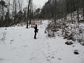 IMG_4528