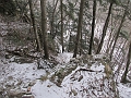 IMG_4531