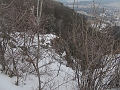 IMG_4537
