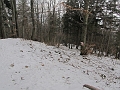 IMG_4542