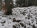 IMG_4543