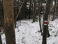 IMG_4545