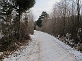 IMG_4547