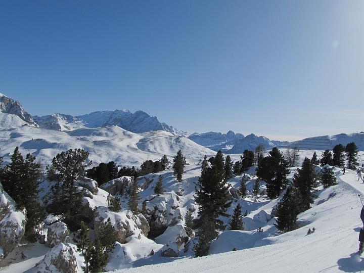 IMG_4683.JPG - ...dennoch...