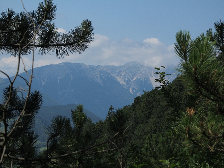 IMG_7509.JPG - Blick zum Schneeberg