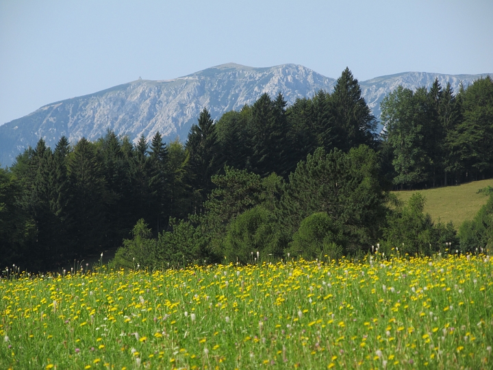 IMG_7931.JPG -  Zoom zum Schneeberg