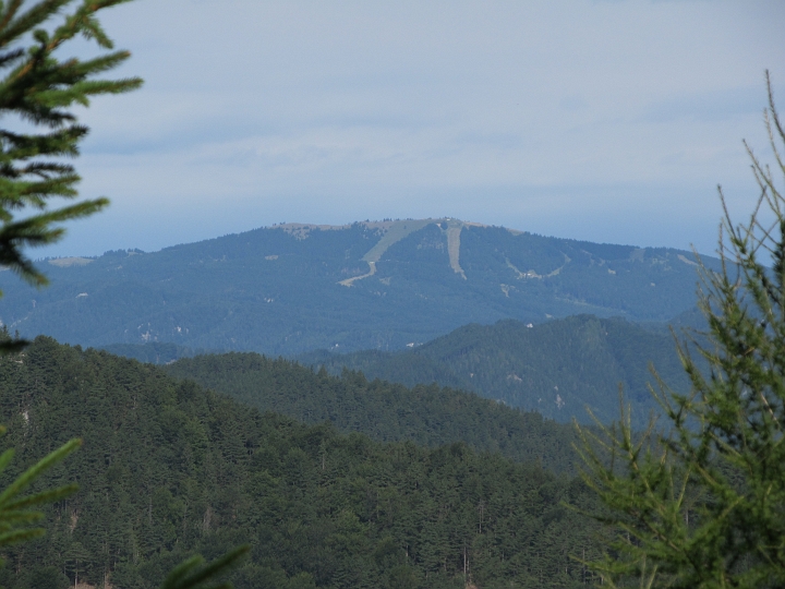 IMG_7935.JPG - Blick zum Unterberg. Wir sind bereits am Kamm.