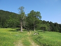 IMG_7929