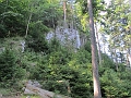 IMG_7937