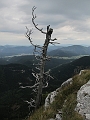 IMG_7976