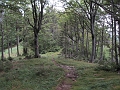 IMG_7985