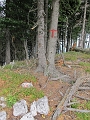IMG_7992
