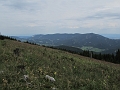IMG_7999