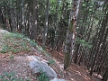IMG_8005