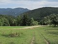 IMG_8006