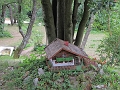 IMG_8007
