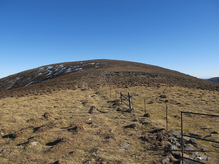 IMG_9309.JPG - Zurück zum Speikkogel.
