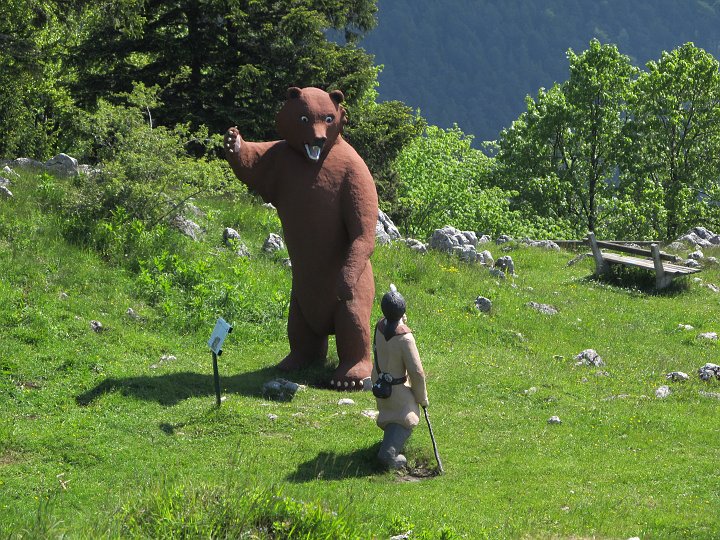 IMG_1246.JPG - Ein Bär!