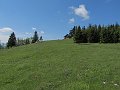 IMG_1259