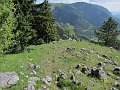IMG_1261
