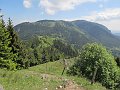 IMG_1264