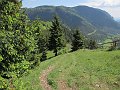 IMG_1266