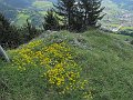 IMG_1269