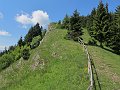 IMG_1270