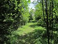 IMG_1271