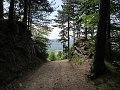 IMG_1272