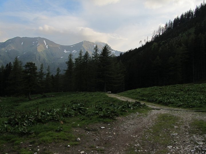 IMG_1409.JPG - So aber...