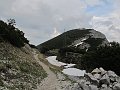 IMG_1347