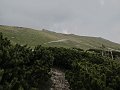 IMG_1349