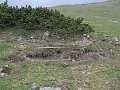 IMG_1352