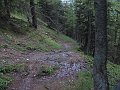 IMG_1373