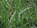 IMG_1377