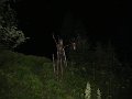 IMG_2545