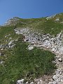 IMG_2641