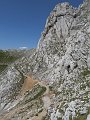 IMG_2650