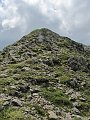 IMG_2779
