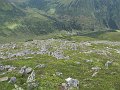 IMG_2797