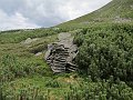IMG_2802