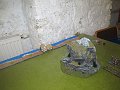IMG_3658