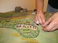 IMG_3905