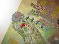 IMG_4746