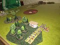 IMG_5262